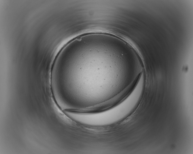 X0000111191388200907151338