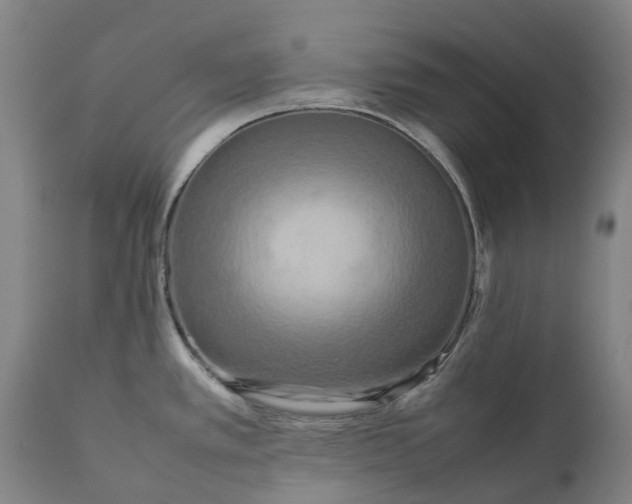 X0000111191389200907151338