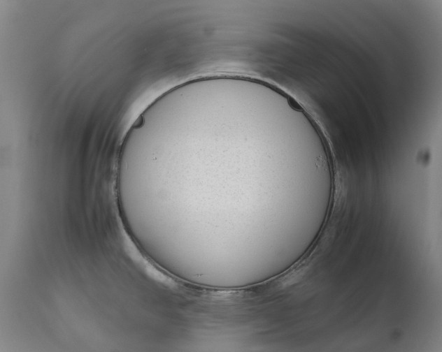 X0000111191390200907151338