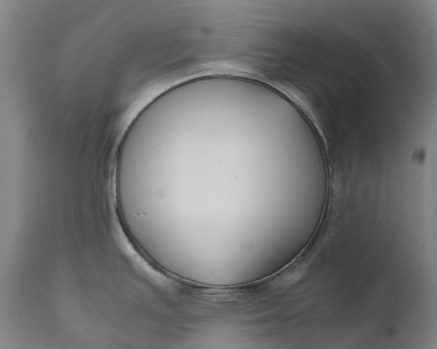 X0000111191391200907151338