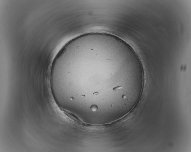 X0000111191392200907151338