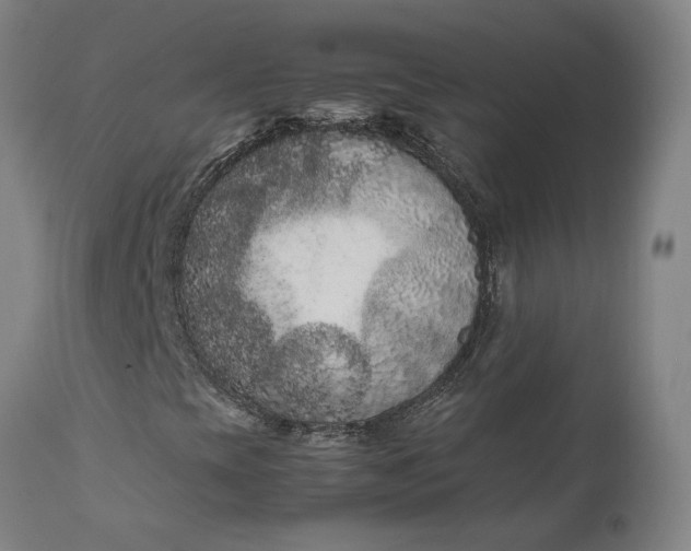 X0000111191393200907151337