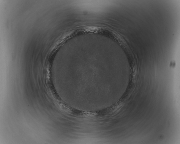 X0000111191394200907151337