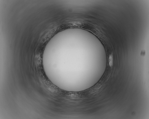 X0000111191395200907151337