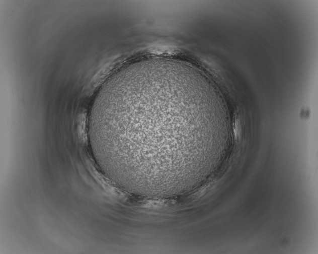 X0000111191396200907151337