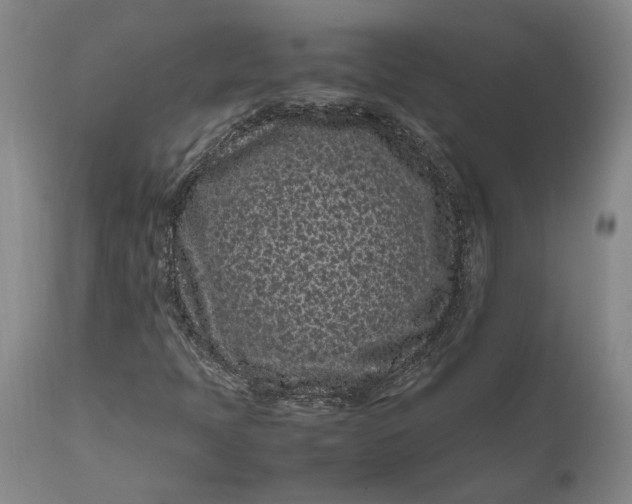 X0000111191397200907151337