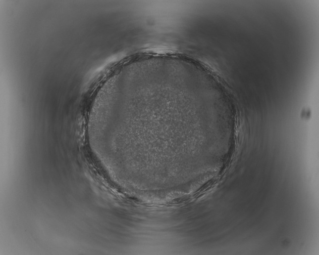 X0000111191398200907151337