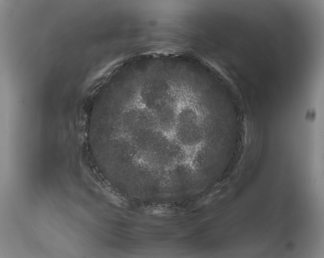 X0000111191399200907151337