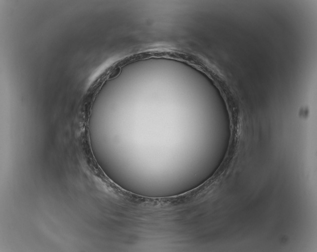 X0000111191400200907151337