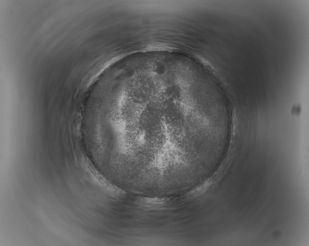 X0000111191401200907151337