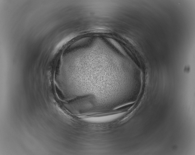 X0000111191402200907151337