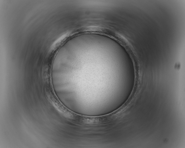 X0000111191403200907151337