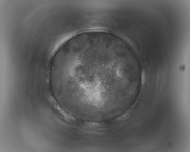 X0000111191405200907151337