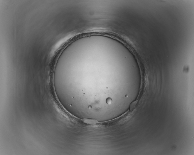 X0000111191406200907151337