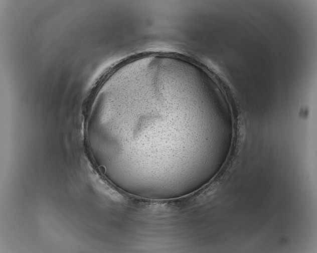 X0000111191408200907151337