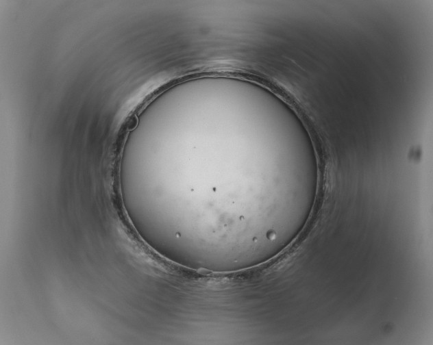 X0000111191410200907151337