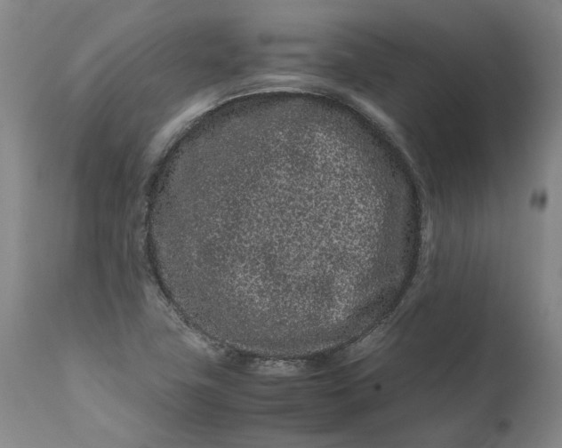 X0000111191411200907151337