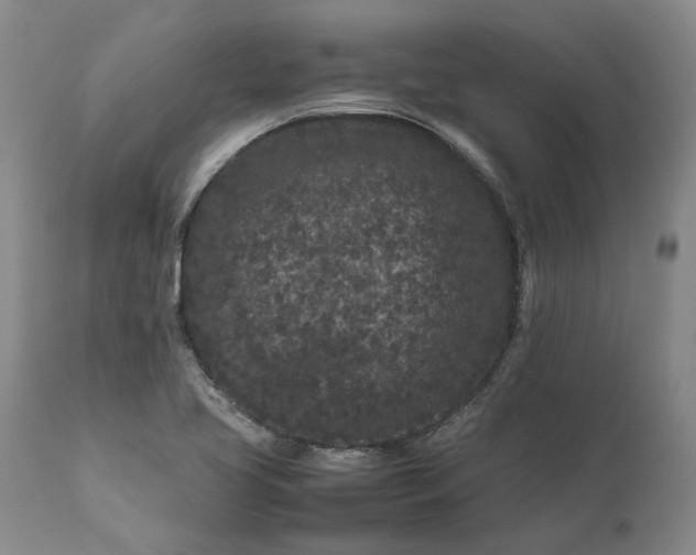 X0000111191413200907151337