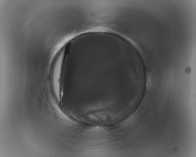 X0000111191414200907151337