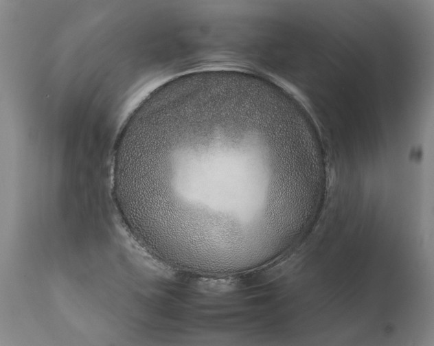 X0000111191415200907151337