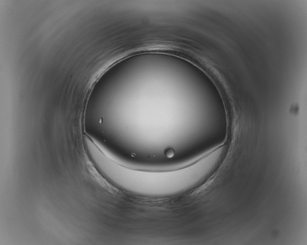 X0000111191417200907151337