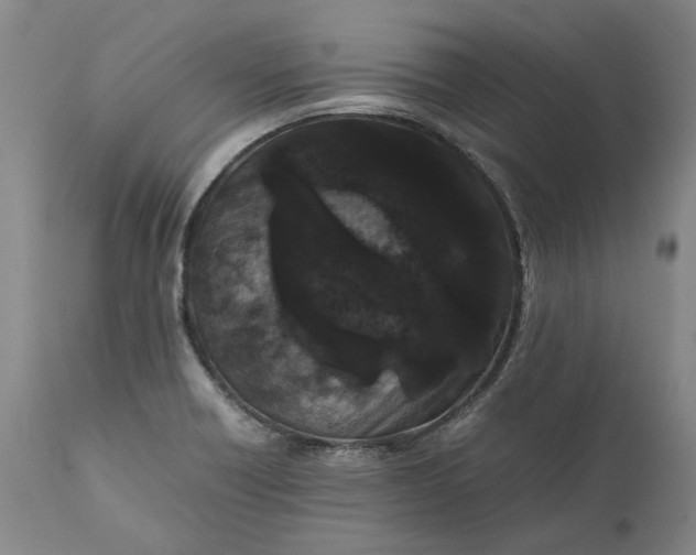 X0000111191418200907151337