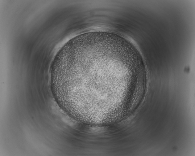 X0000111191419200907151337