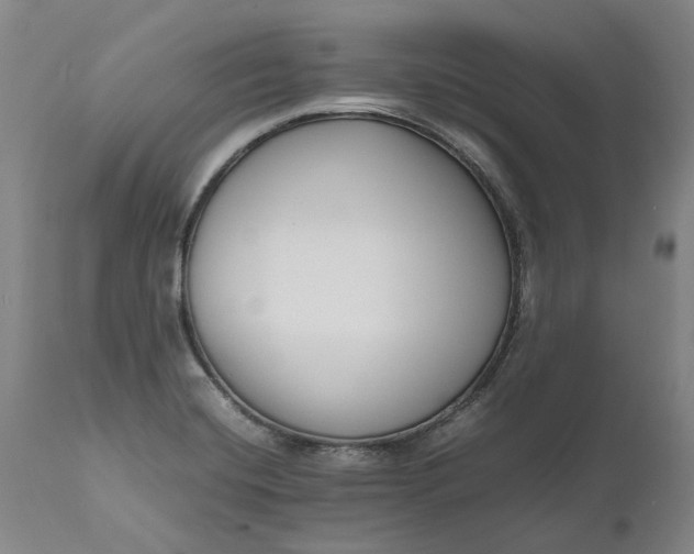 X0000111191420200907151337