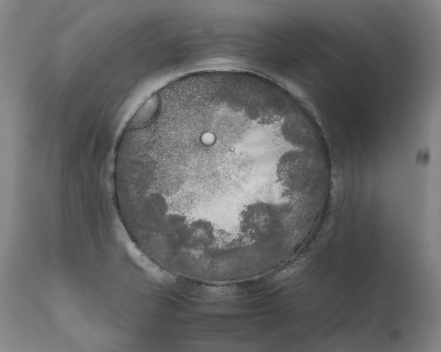 X0000111191421200907151337