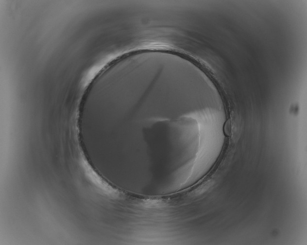 X0000111191422200907151337