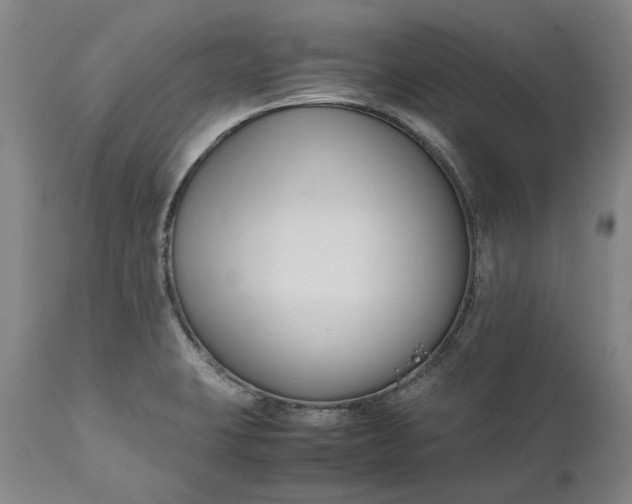 X0000111191423200907151337