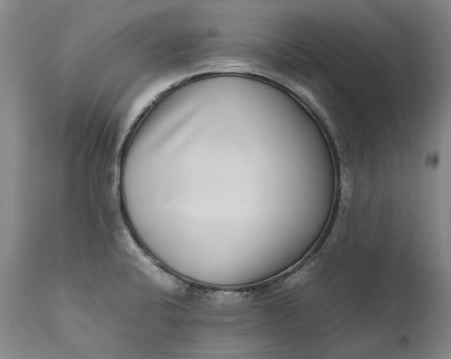 X0000111191424200907151337