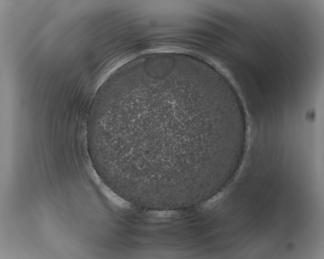 X0000111191425200907151337