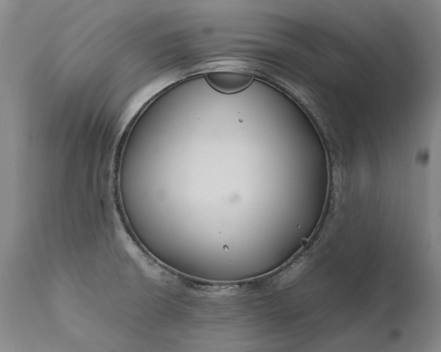 X0000111191426200907151337