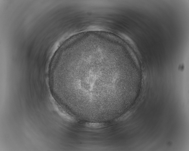 X0000111191427200907151338