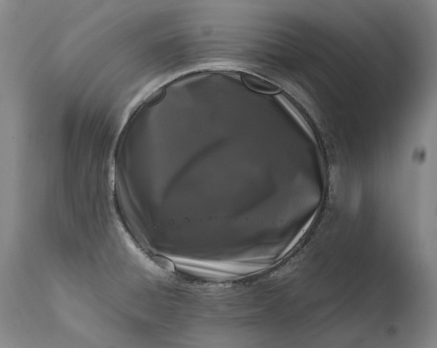 X0000111191428200907151338