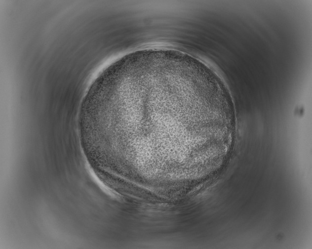 X0000111191429200907151338