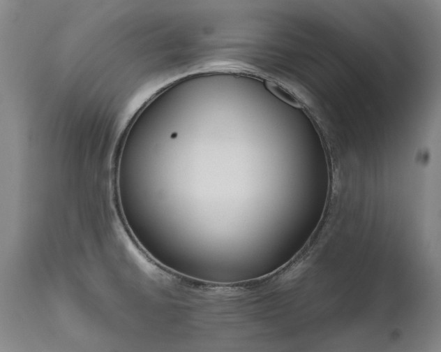 X0000111191430200907151338