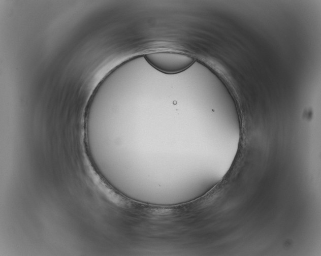 X0000111191431200907151338