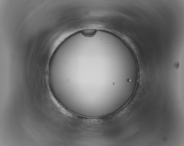 X0000111191432200907151338