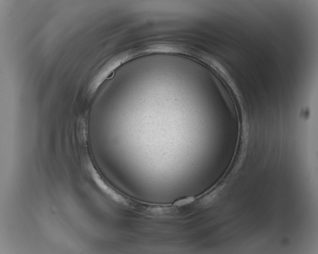 X0000111191433200907151338