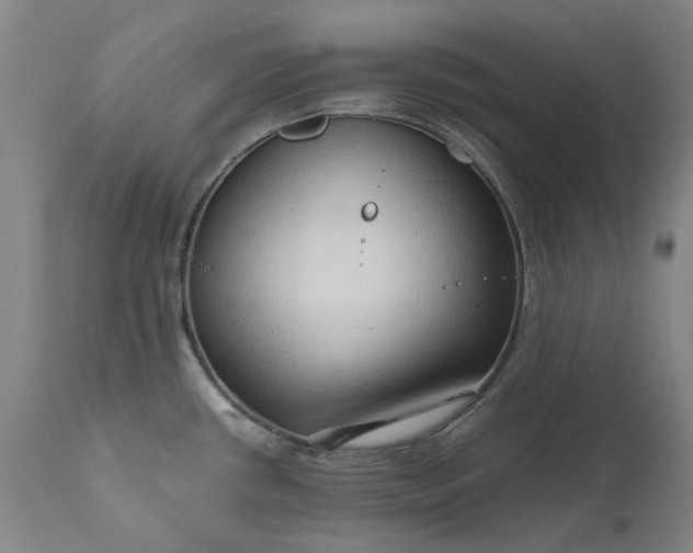 X0000111191434200907151338