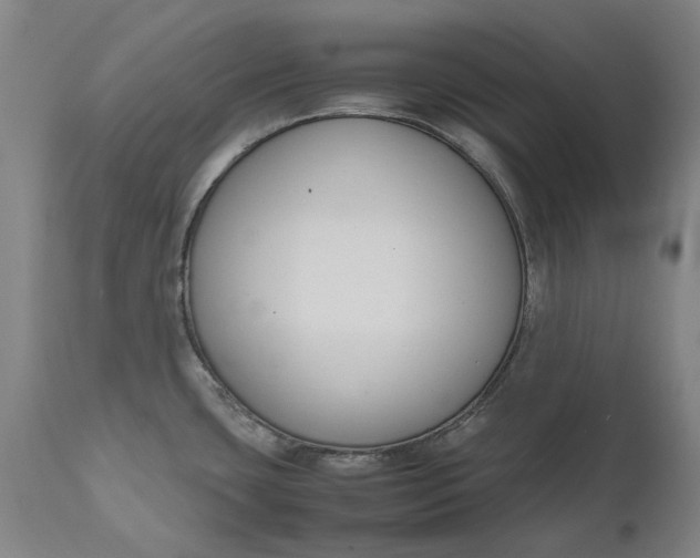 X0000111191435200907151338