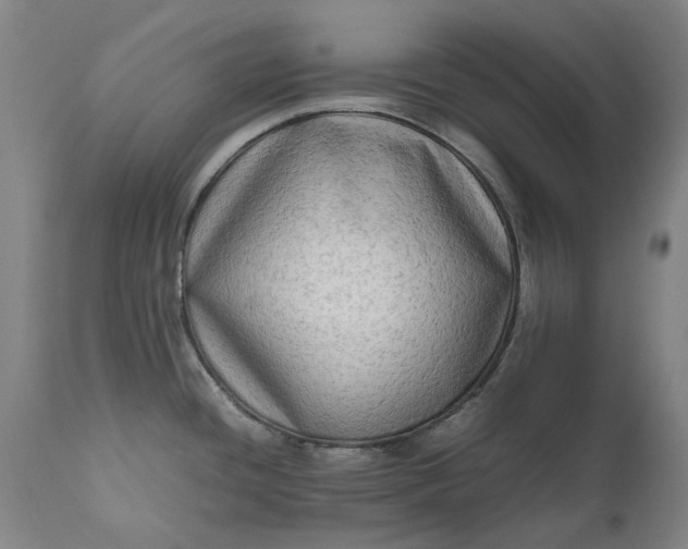 X0000111191436200907151338