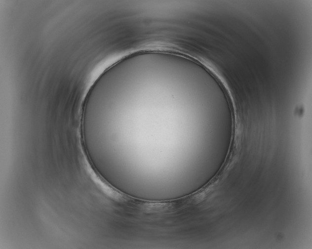 X0000111191437200907151338