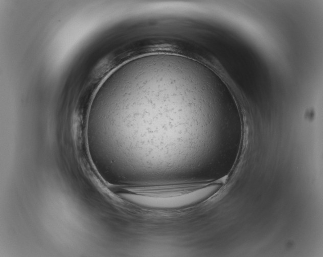 X0000111191438200907151338