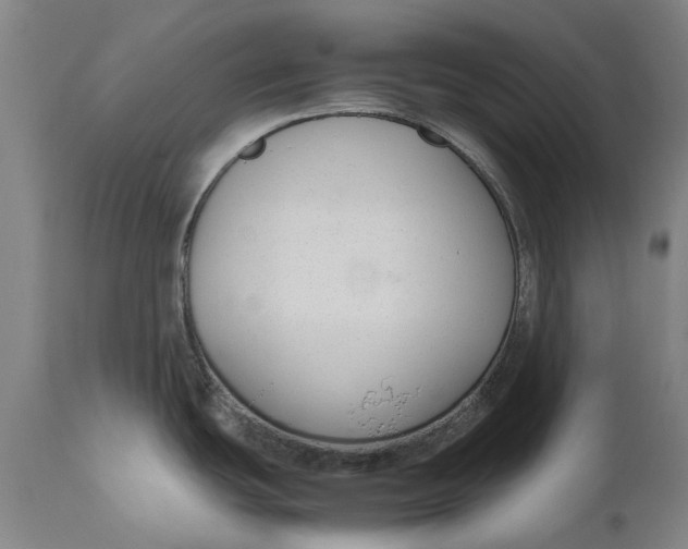 X0000111191439200907151338