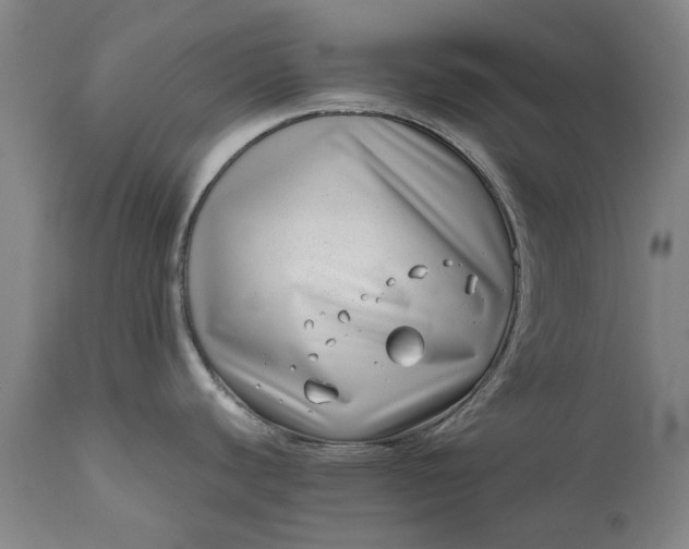 X0000111191440200907151338