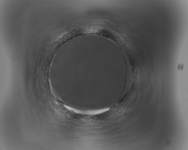 X0000111191441200907151337