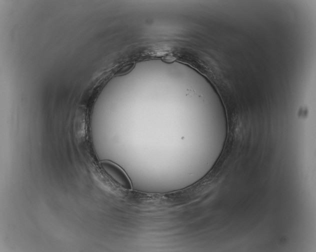 X0000111191442200907151337